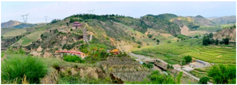 ���������к�ɽ����Զ